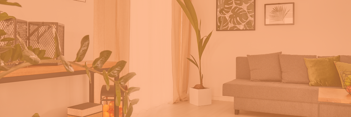 Decoración