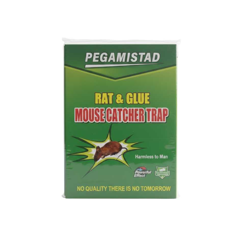 Pegamento para Ratas